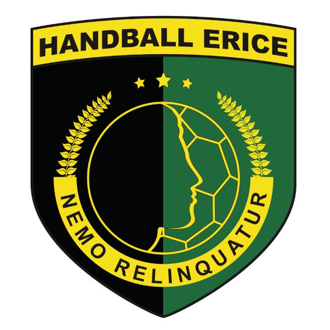 logo-handballerice_8758.jpg